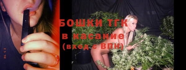 молекула духа Бородино