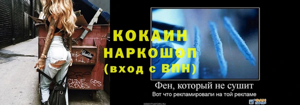 молекула духа Бородино