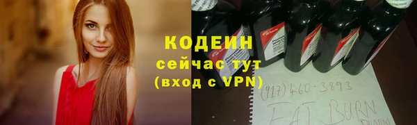 молекула духа Бородино