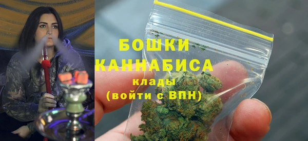 молекула духа Бородино